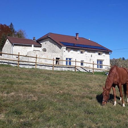 Gite Des 3 Marches Lamoura Eksteriør bilde