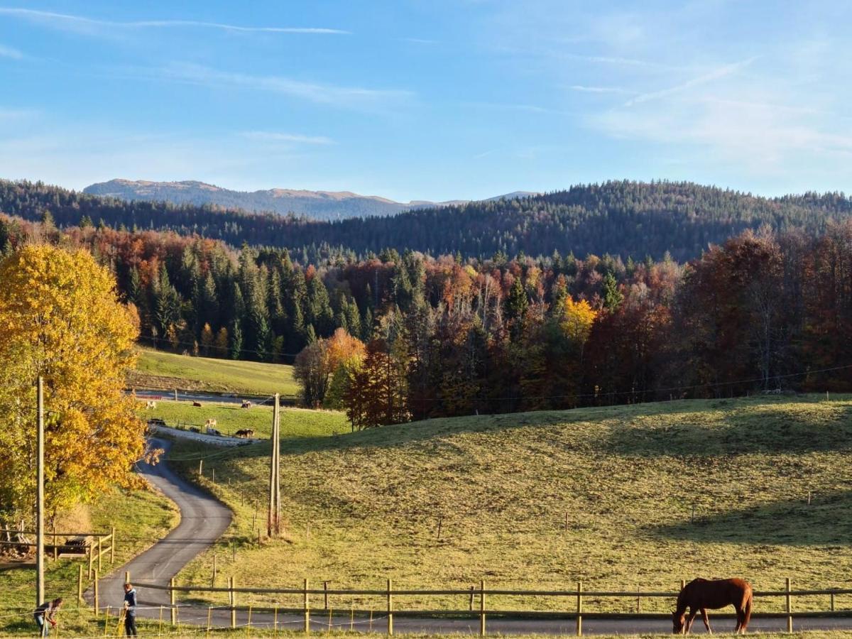 Gite Des 3 Marches Lamoura Eksteriør bilde