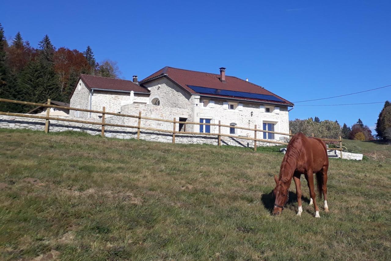 Gite Des 3 Marches Lamoura Eksteriør bilde